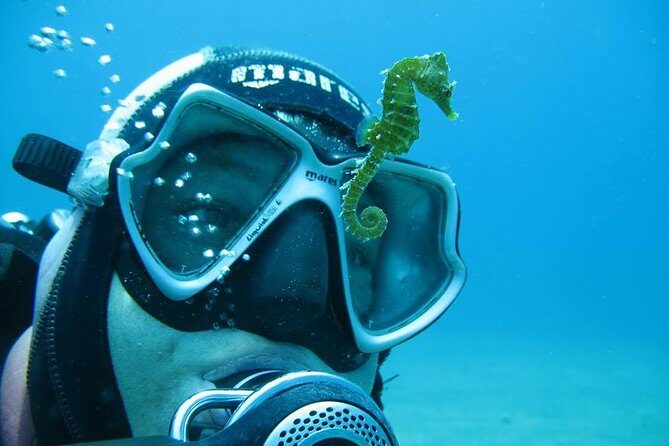 Try Scuba Diving in Split - Why Split is a smart pick for an intro scuba try-out