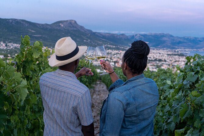 Vineyard Experience: Wine Tasting near Split - Key highlights you’ll care about