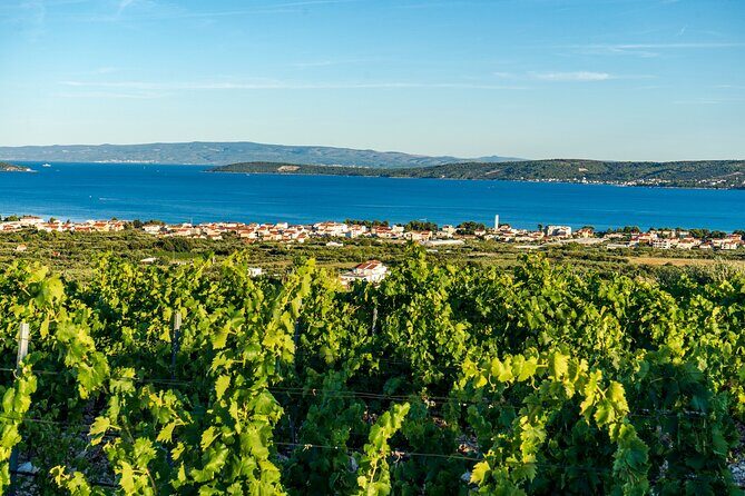 Vineyard Experience: Wine Tasting near Split - Kastel Novi stop: where the tasting starts with the coast