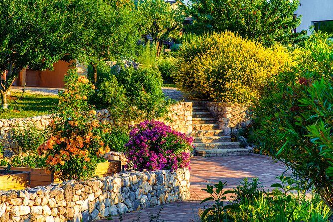 Visit Klis fortress GOT & Olive museum Klis - The big reality check: getting from Stella Croatica to Klis