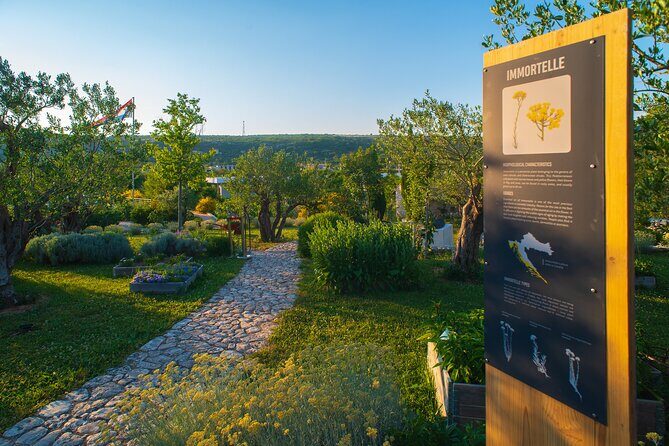 Visit Klis fortress GOT & Olive museum Klis - Klis Fortress: Game of Thrones vibes plus real stone and views (Stop 2)