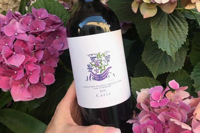 Wine Lovers tour from Hvar - Who this tour suits best (and who might want a different plan)