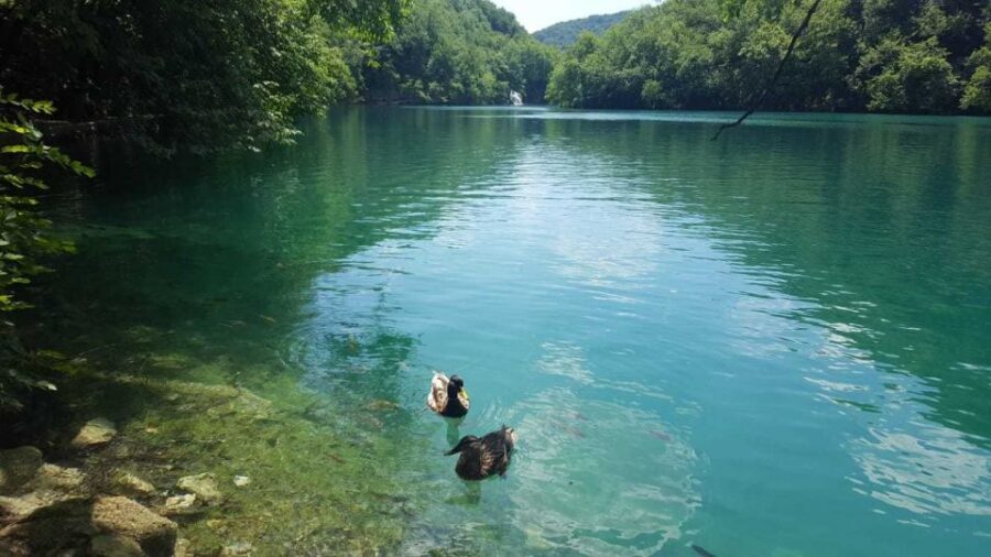 Zagreb to Split: Private Transfer with Plitvice Lakes - Price and value: what $559 per person is buying you